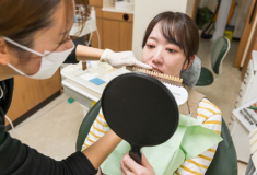 シェードチェック