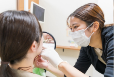 シェードチェック2